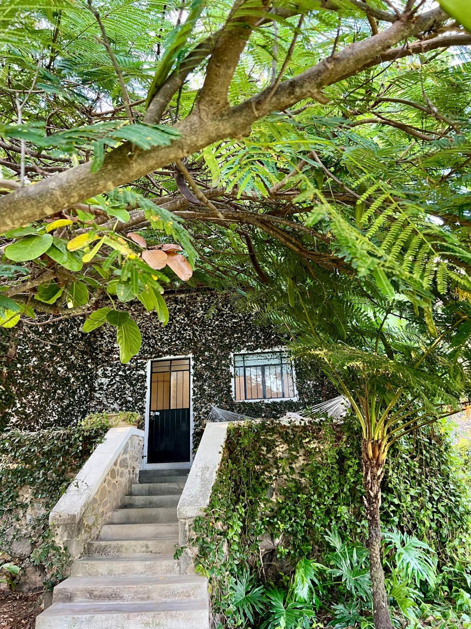 Mama Chuy Hotel & Villas San Juan Cosalá Exterior foto